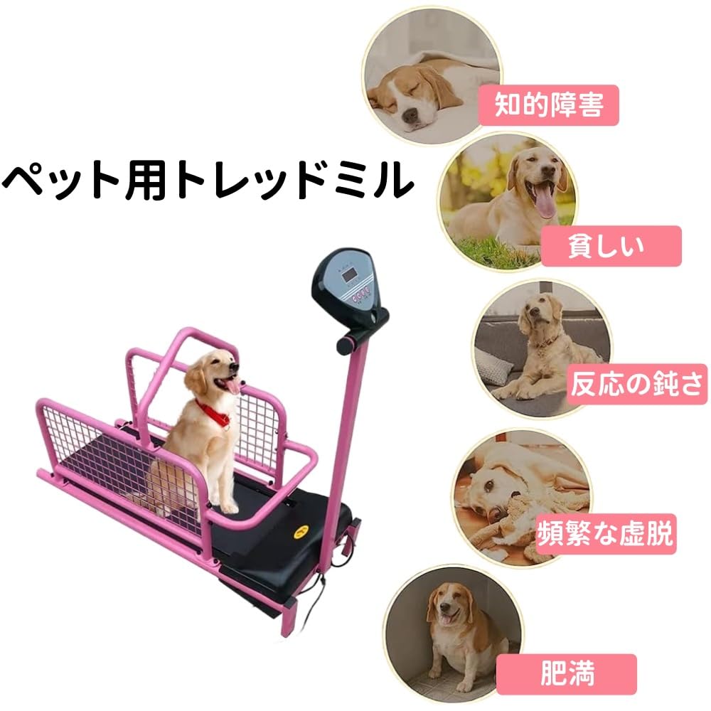 Amazon | Kirnuo屋内用トレッドミル ペット用トレッドミル おもちゃ